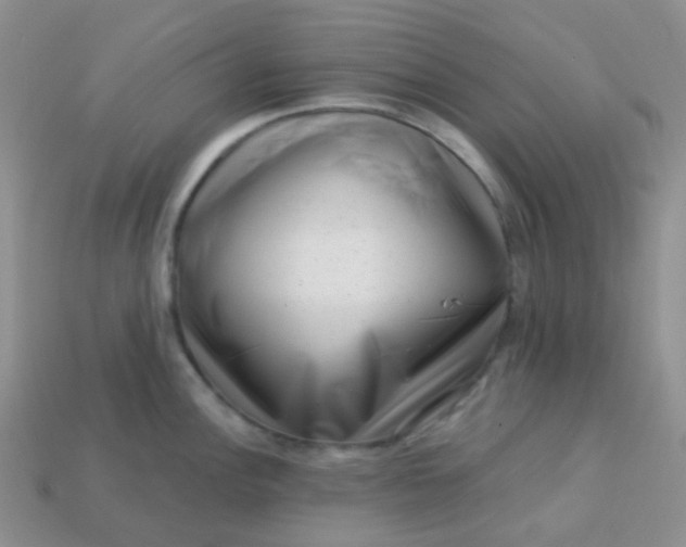 X0000113611148200910091536