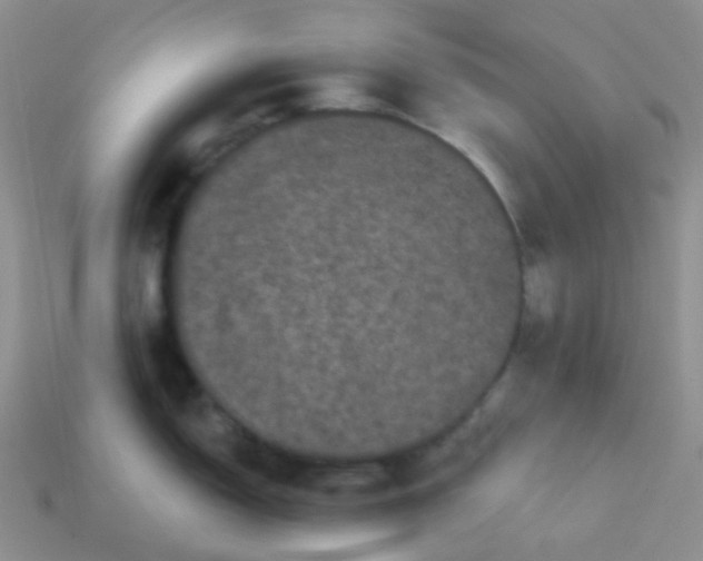 X0000113611150200910091536