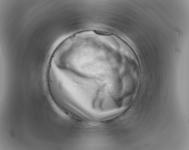 X0000113611152200910091536