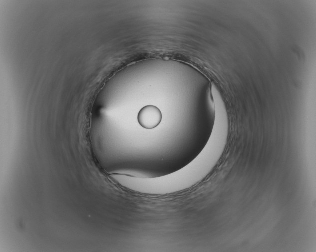 X0000113611153200910091536