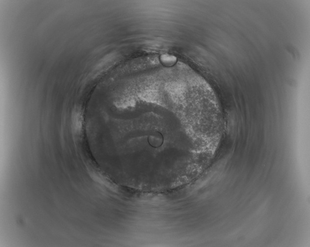 X0000113611154200910091536