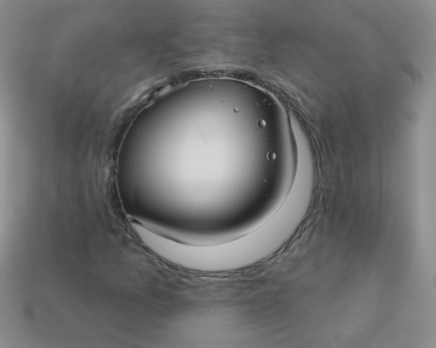 X0000113611157200910091536