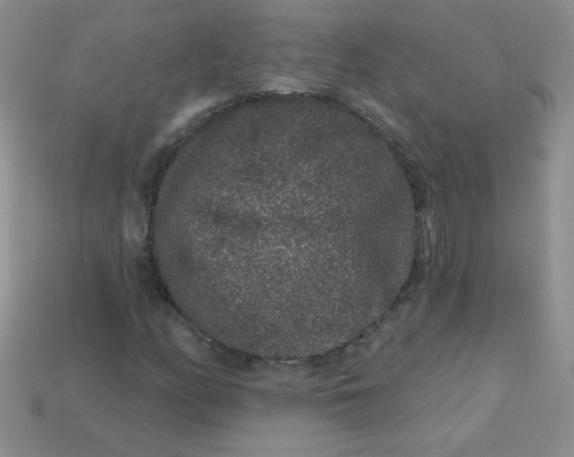 X0000113611158200910091535