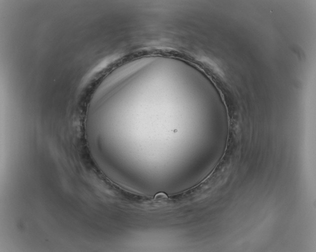 X0000113611159200910091535