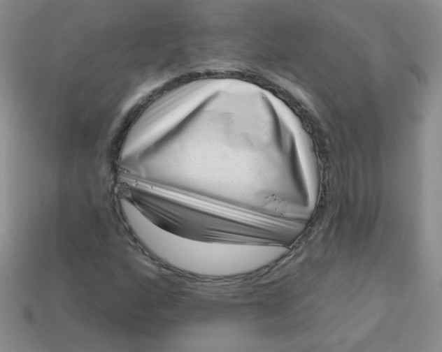 X0000113611160200910091535