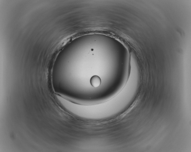 X0000113611161200910091535