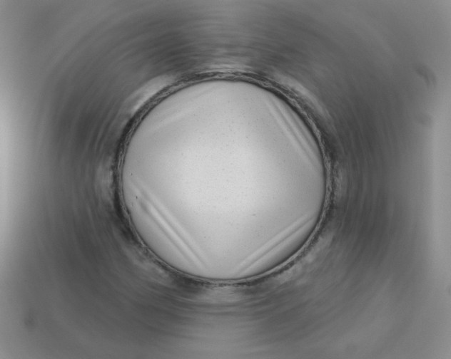 X0000113611162200910091535