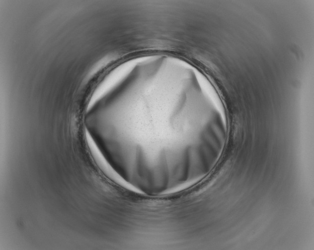 X0000113611163200910091535