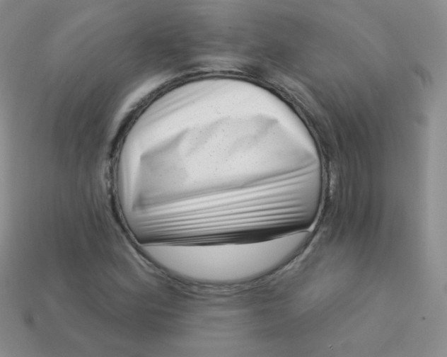 X0000113611164200910091535