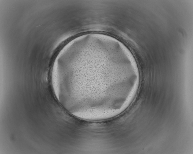 X0000113611166200910091535