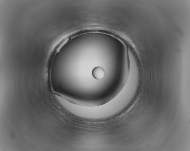 X0000113611167200910091535