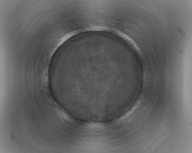 X0000113611170200910091535