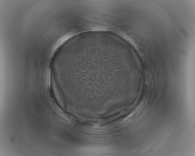 X0000113611171200910091535