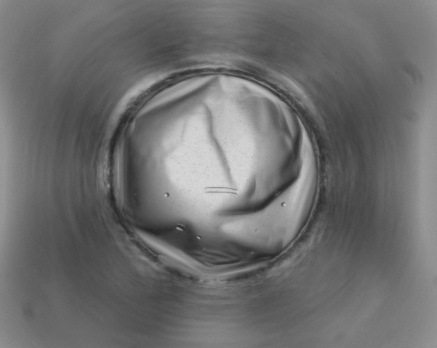 X0000113611172200910091535