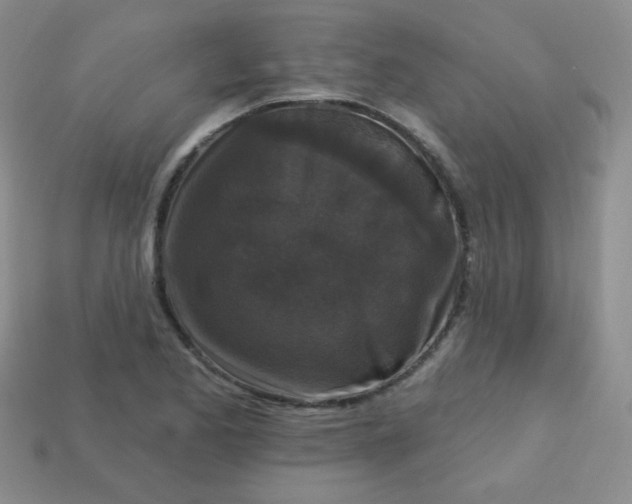 X0000113611173200910091535