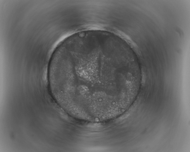 X0000113611174200910091535