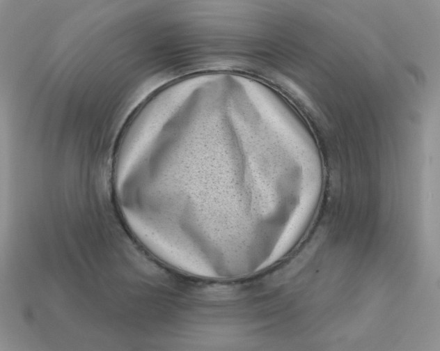 X0000113611178200910091535