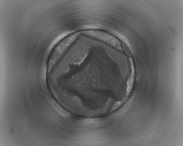 X0000113611179200910091535