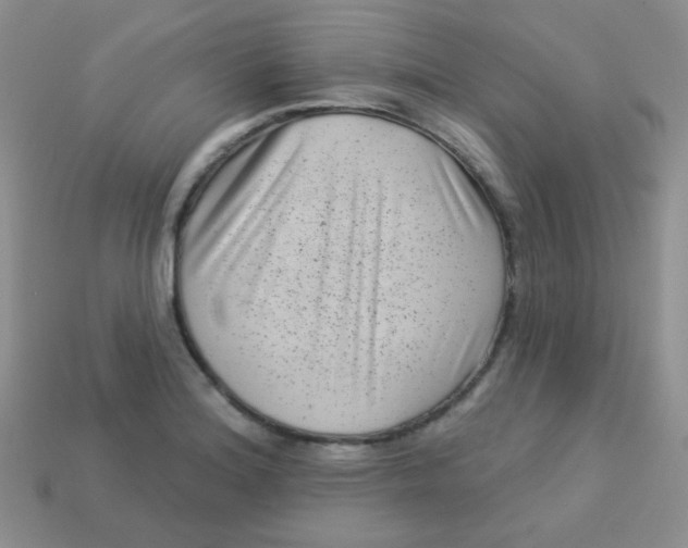 X0000113611180200910091535