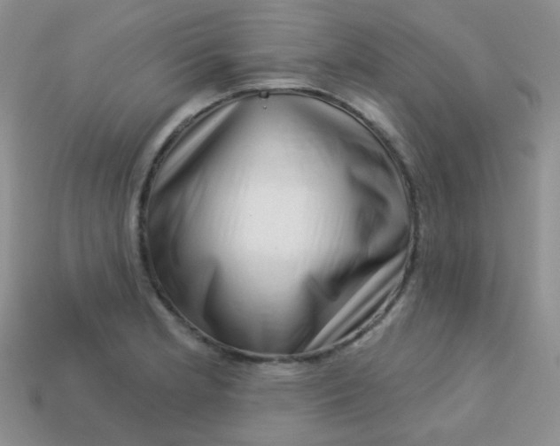 X0000113611181200910091535