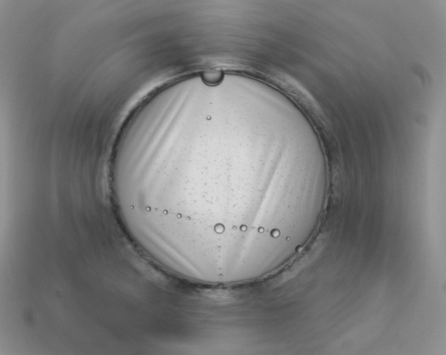 X0000113611182200910091535