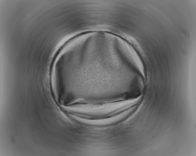 X0000113611184200910091535