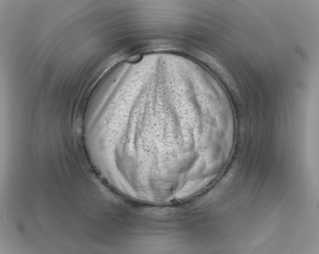 X0000113611185200910091535