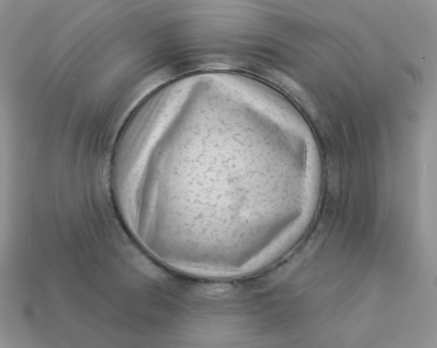 X0000113611186200910091535