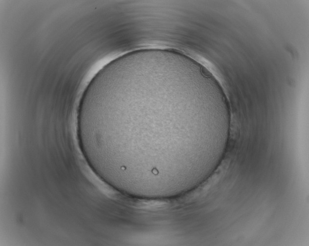 X0000113611187200910091535