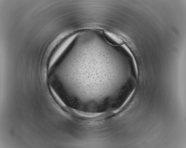 X0000113611188200910091535