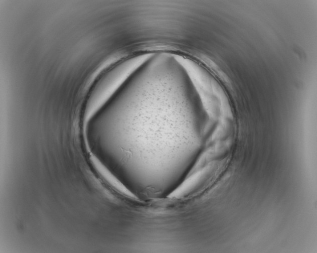 X0000113611189200910091535