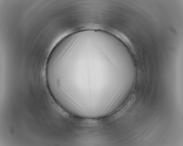 X0000113611190200910091535