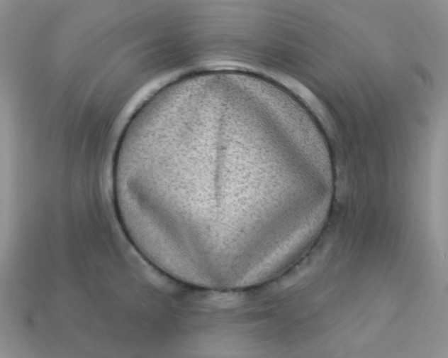 X0000113611191200910091535