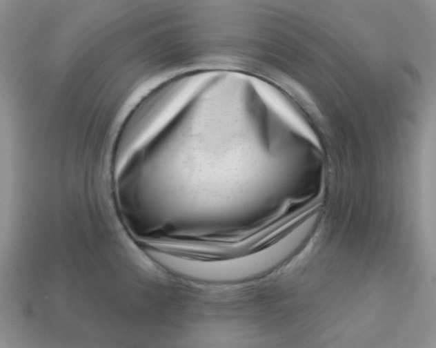 X0000113611192200910091535