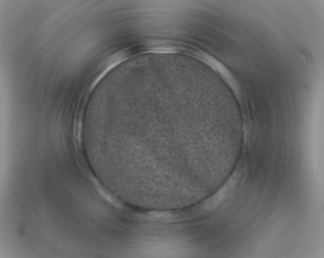 X0000113611194200910091535