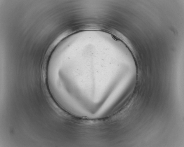 X0000113611195200910091535