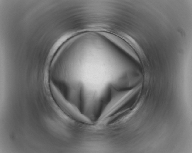 X0000113611196200910091535