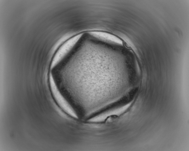 X0000113611197200910091535