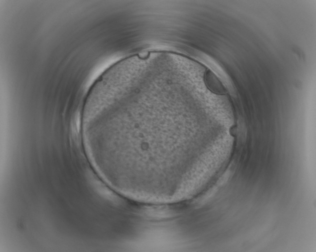 X0000113611198200910091535