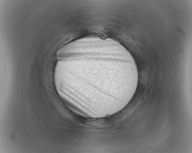 X0000113611201200910091534