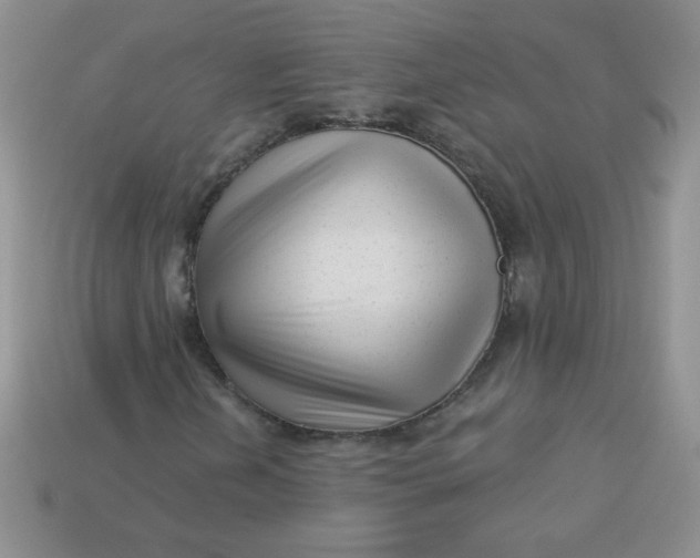 X0000113611202200910091534