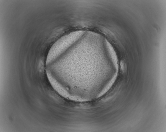 X0000113611203200910091534