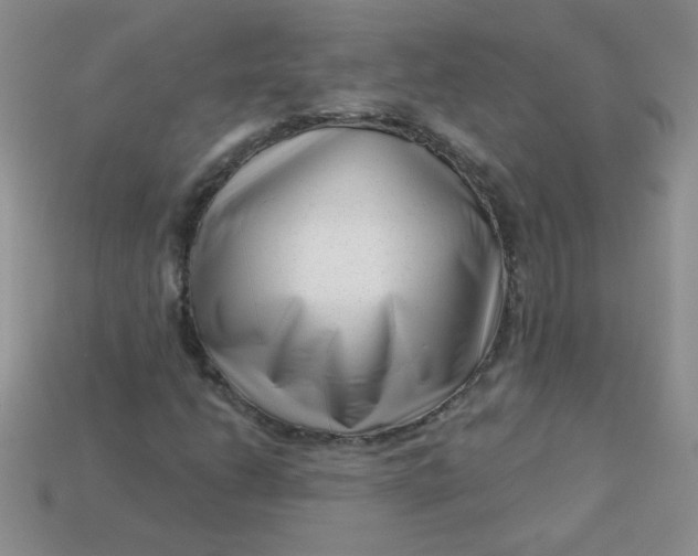 X0000113611206200910091534