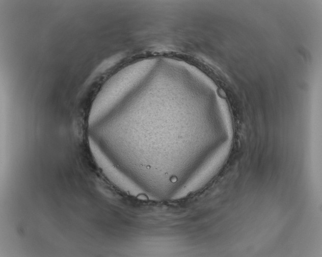 X0000113611207200910091534