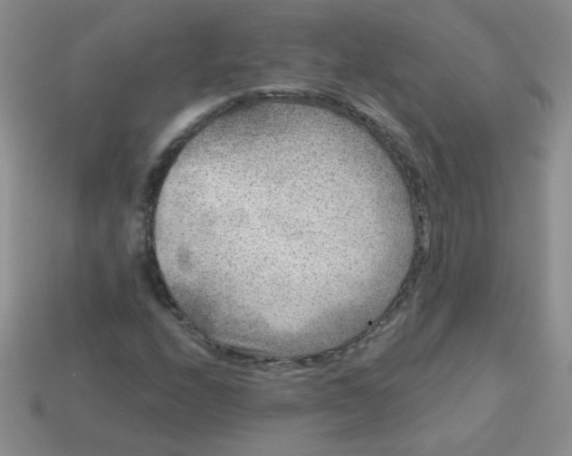 X0000113611208200910091534