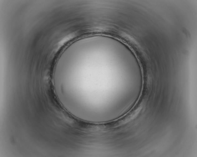 X0000113611210200910091534