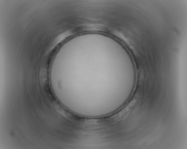 X0000113611211200910091534