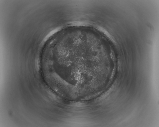 X0000113611213200910091534