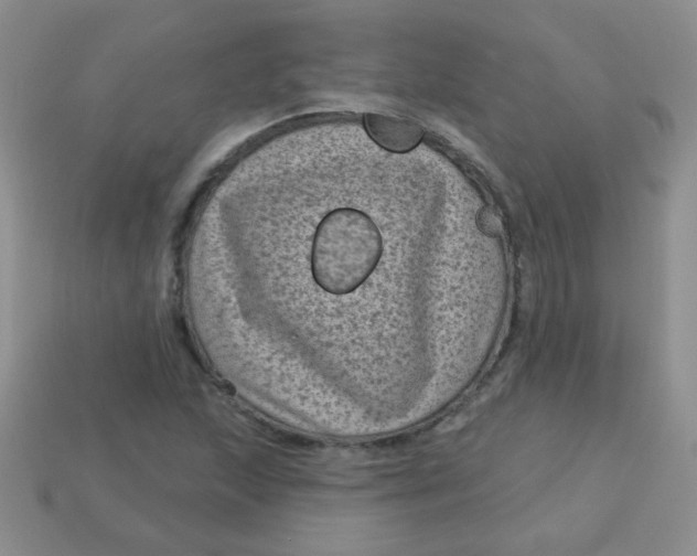 X0000113611215200910091534