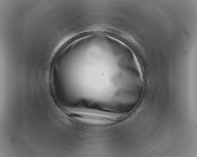 X0000113611216200910091534